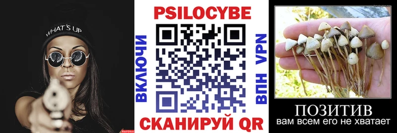 Купить закладки  Белёв  Галлюциногенные грибы Cubensis 
